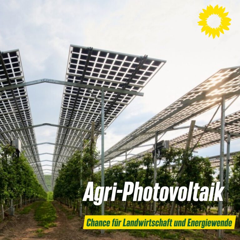 Agri-Photovoltaik: Chance für die Landwirtschaft und Energiewende