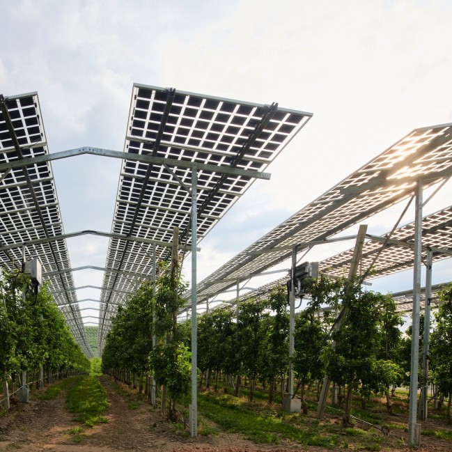 Chancen und Risiken von Photovoltaik auf Freiflächen