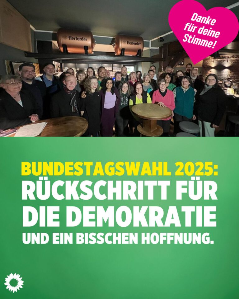 Die Bundestagswahl 2025