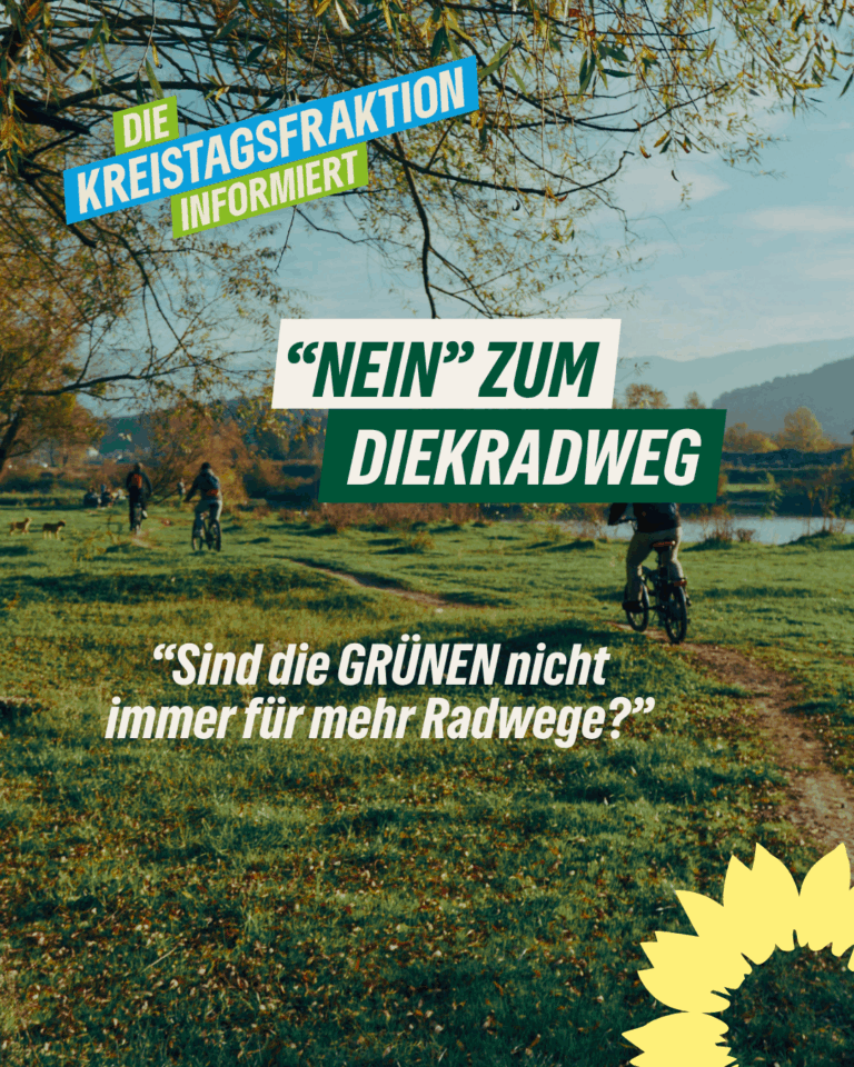 GRÜNE gegen den Radweg am Diekfluss