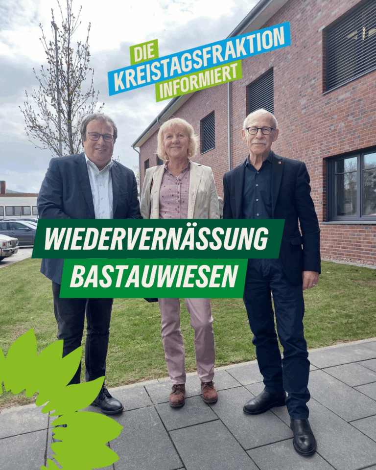 Wiedervernässung der Bastauwiesen